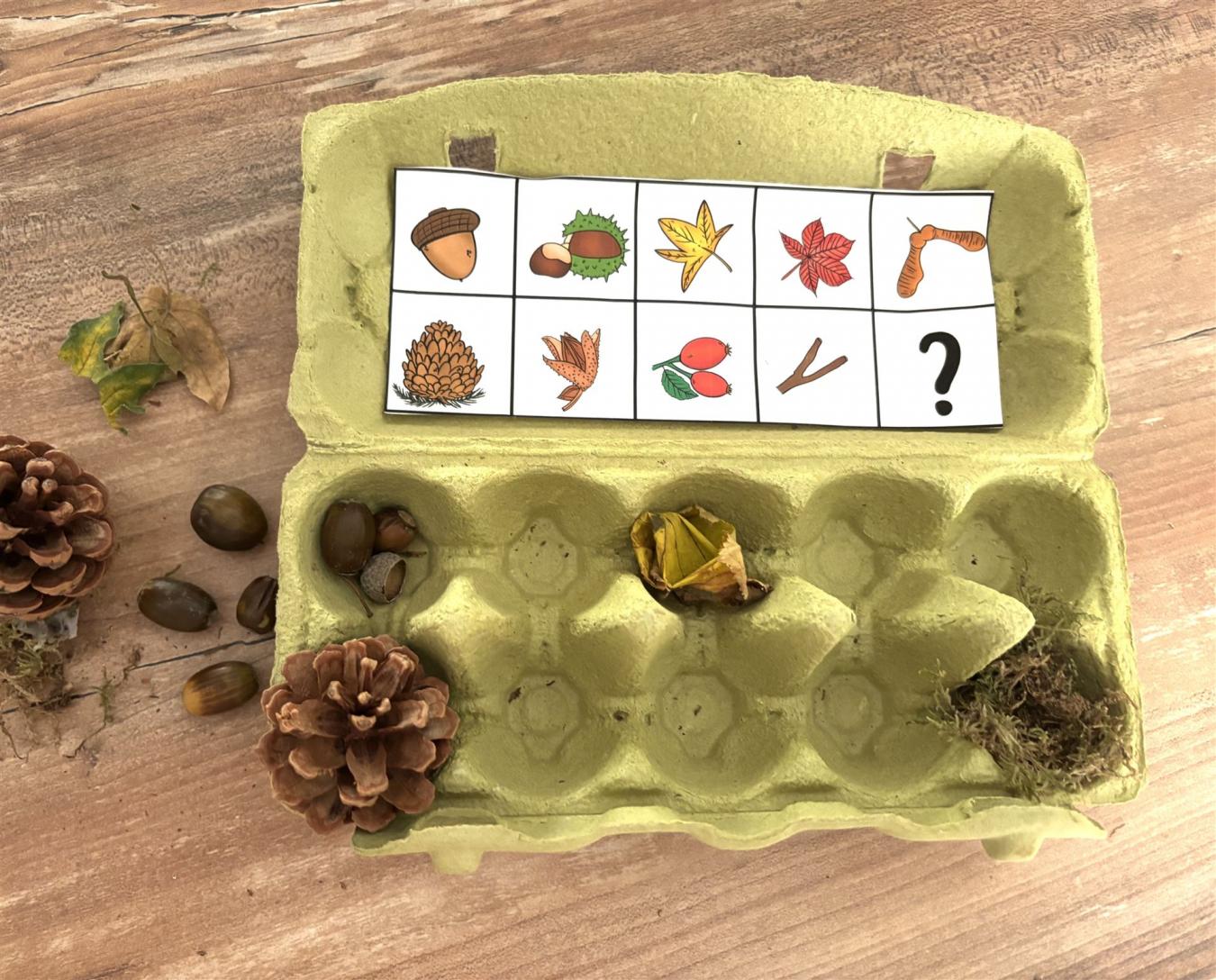 Herbst Natur Wald Schatzsuche mit Eierkarton Druckvorlage