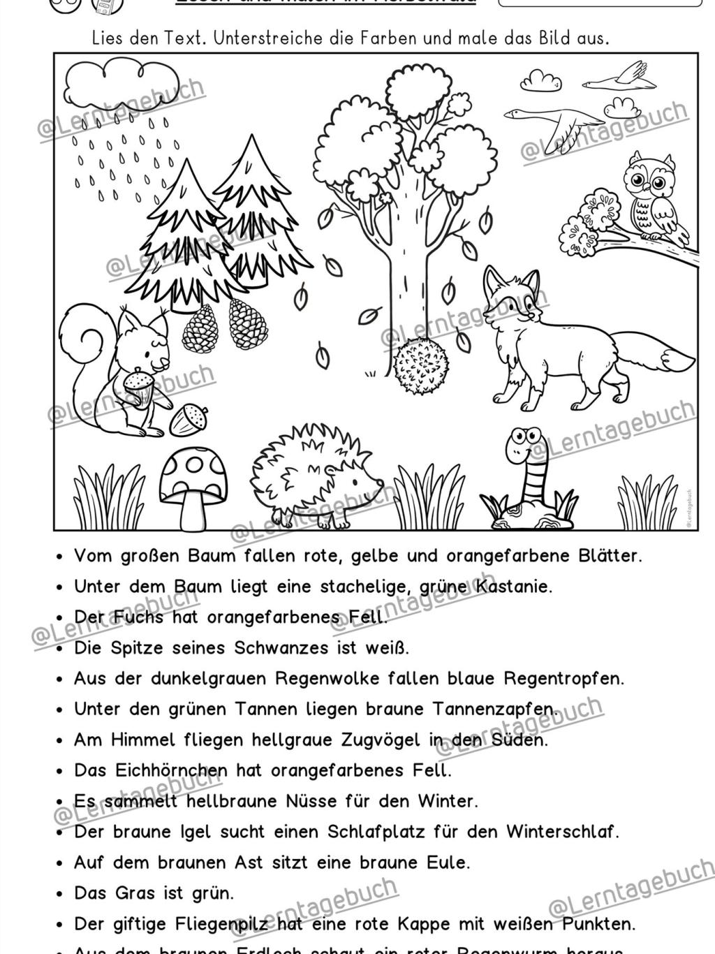 silbenschrift-lesen-und-malen-herbst