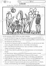 Lesen Verstehen Malen Frühblüher Klasse 2 3 DaZ DaF