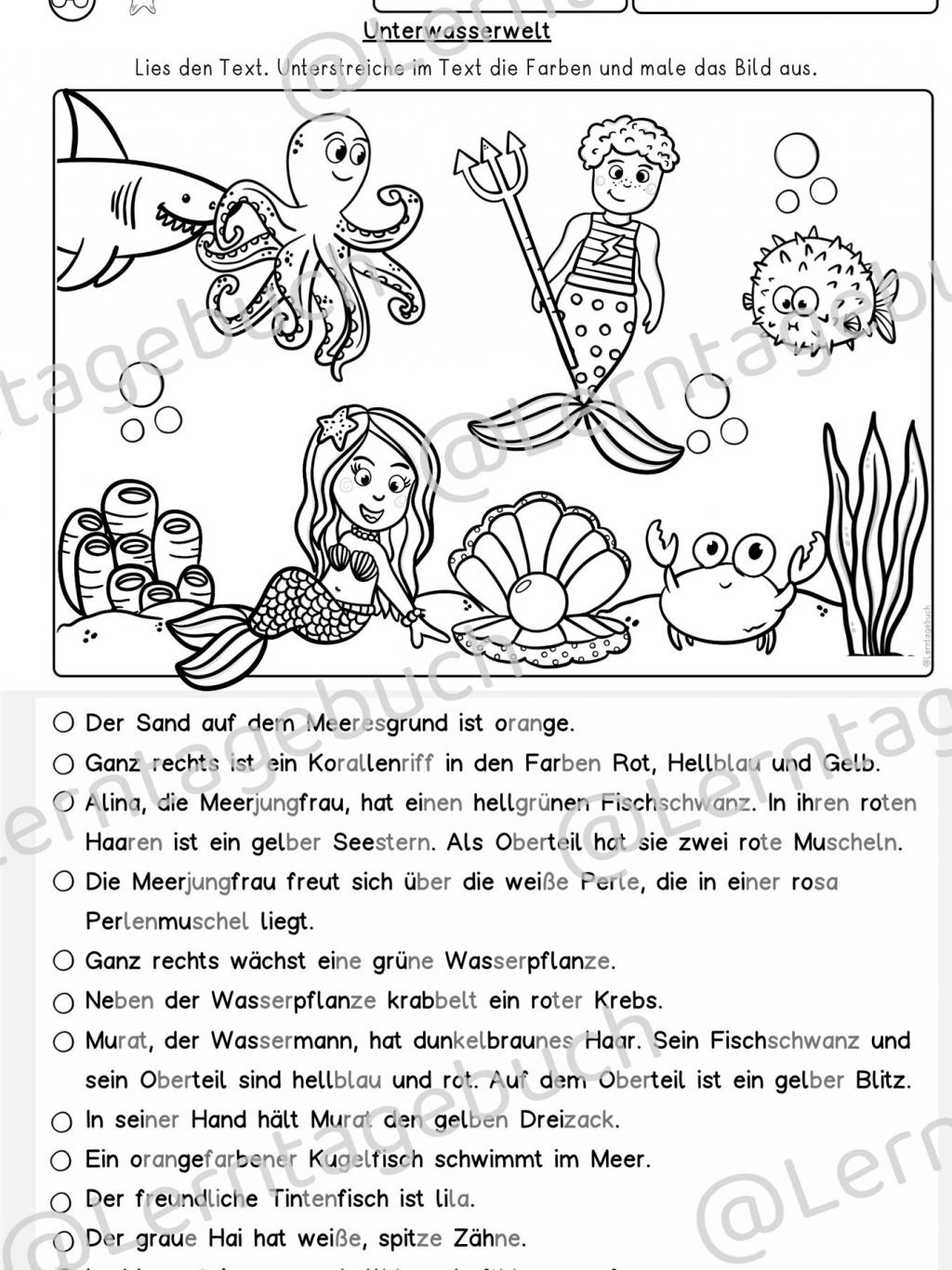 Arbeitsblatt Lesen und Malen Klasse 1, Klasse 2, zum Lesen lernen im Sommert
