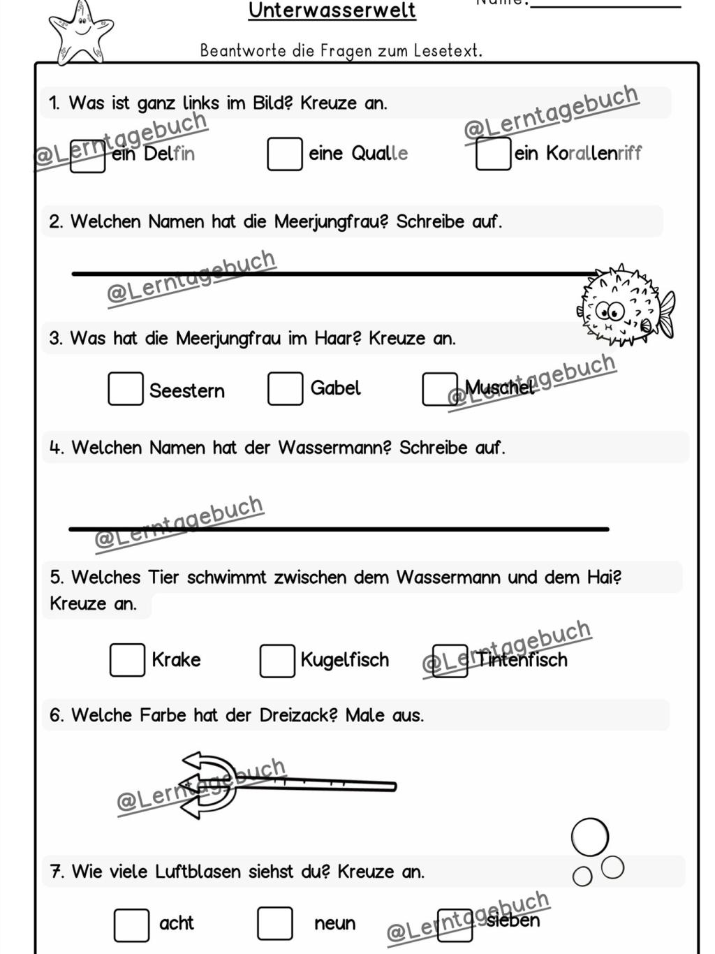 Arbeitsblatt-Lesetraining-mit-Fragen-Klasse-2-3-DaZ