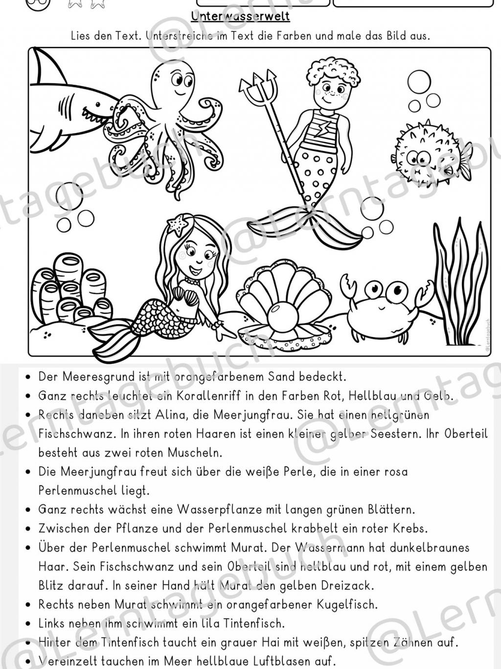 differenzierte Leseübung Lesen und Malen Klasse 2, Klasse 3, DaZ