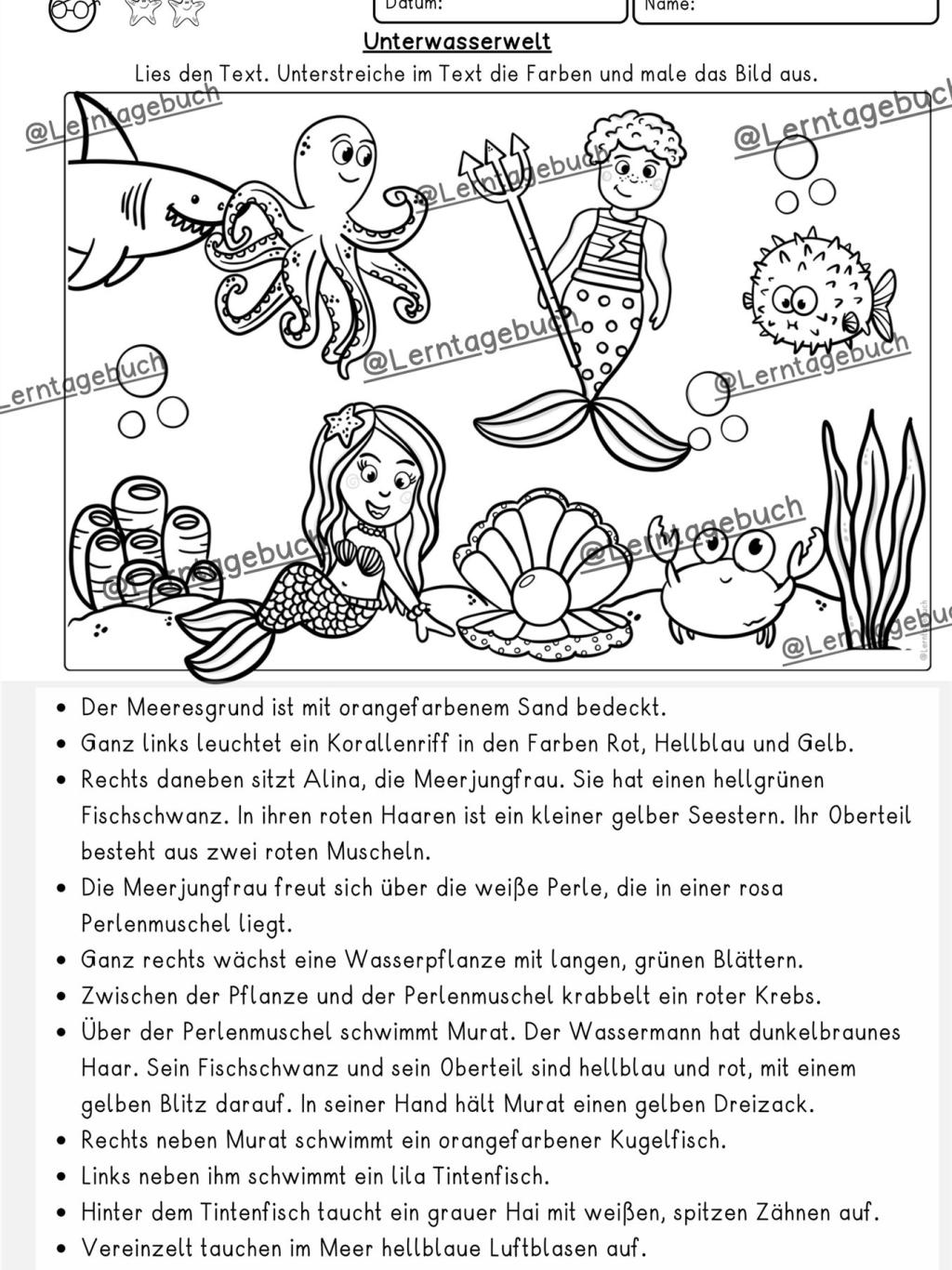 Lesen-verstehen-malen-klasse-2-klasse-3-daz