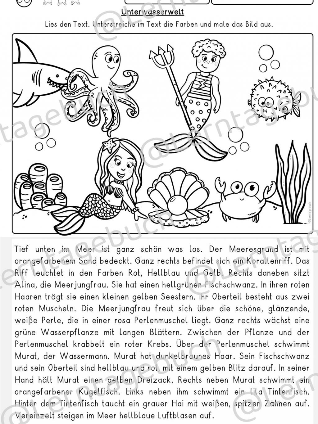 Leseübung Lesen und Malen Klasse 3, Klasse 4, daZ
