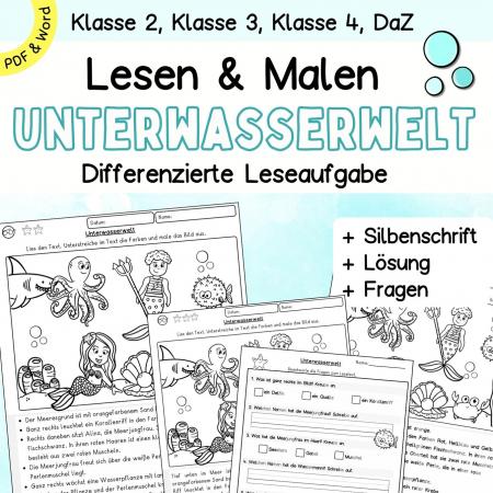 Differenzierte Leseübung Lesen und Malen zum Lesen lernen Klasse 1, 2, 3, DaZ