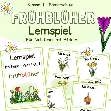 DB_Lernspiel Frühlingsblumen Klasse 1, Förderschul