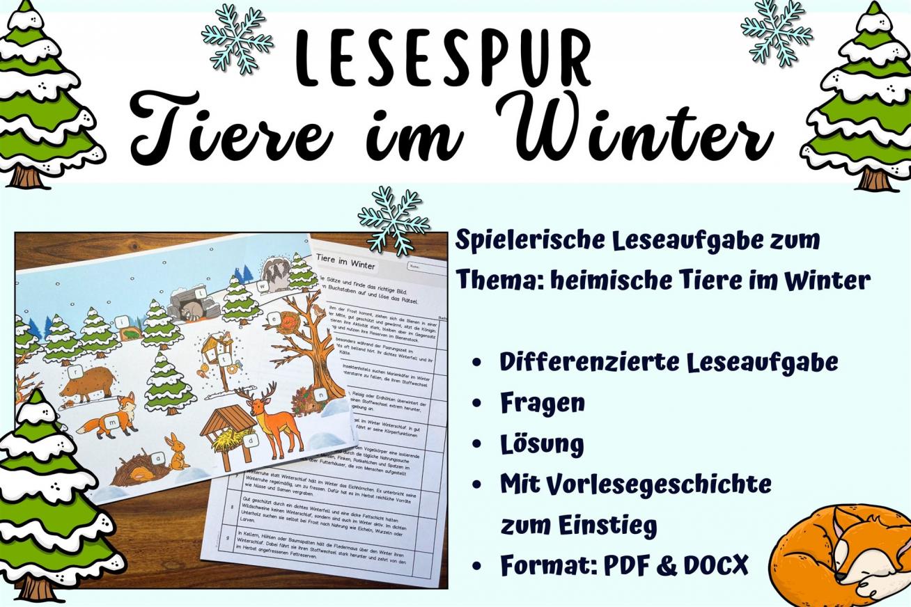 Tiere im Winter Leseaufgabe Klasse 1 2 3 4 5 DaZ